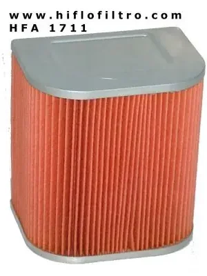 Direct Beschikbaar Vzduchový filtr HIFLOFILTRO - HFA 1711