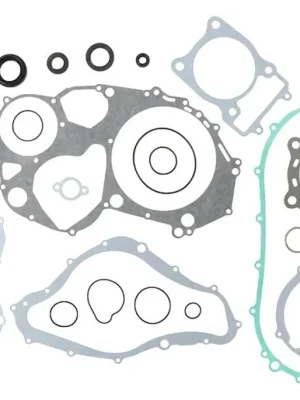 Sada těsnění motoru kompletní vč. gufer motoru WINDEROSA CGKOS 811839 Alleen Vandaag