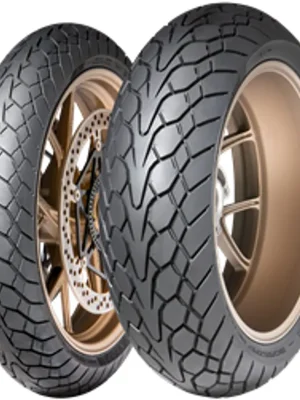 Exclusieve Aanbieding Pneumatika DUNLOP 110/70ZR17 (54W) M+S TL MUTANT