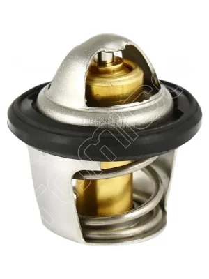 Actieprijs Termostat na Access Tomahawk 250/300/400